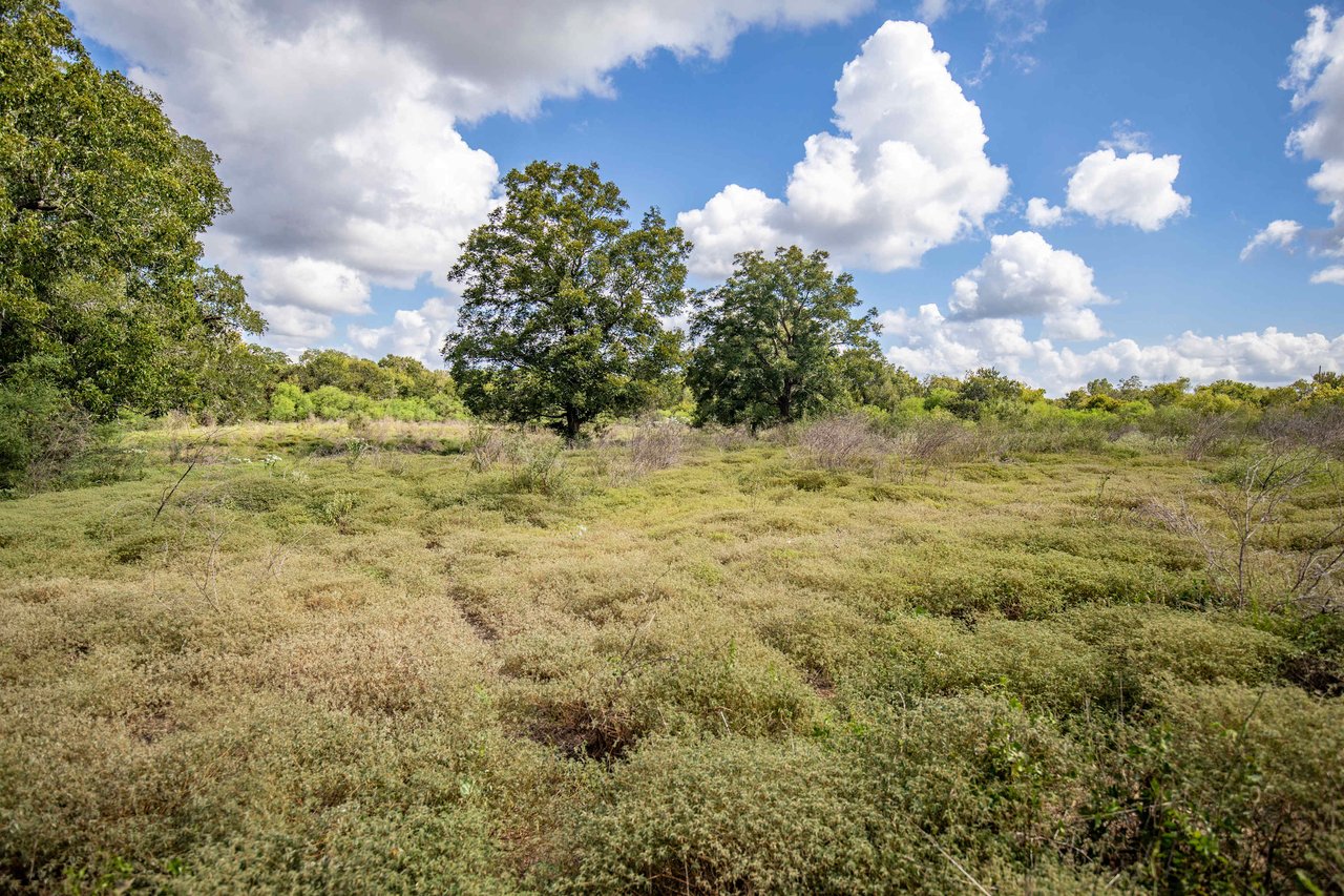 Lovers Lane River Ranch | 140± Acres | DeWitt County
