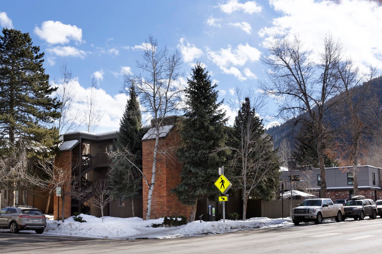 801 E Hopkins Avenue Unit: 1