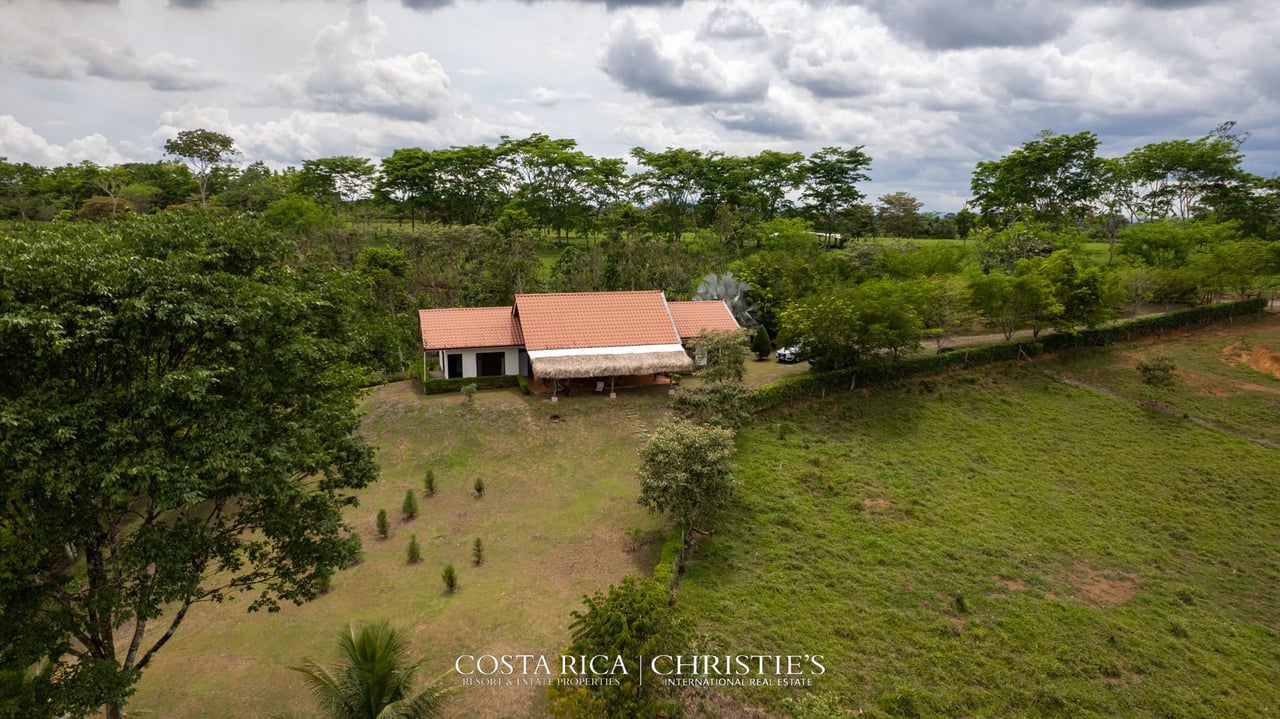 Finca Buenos Aires