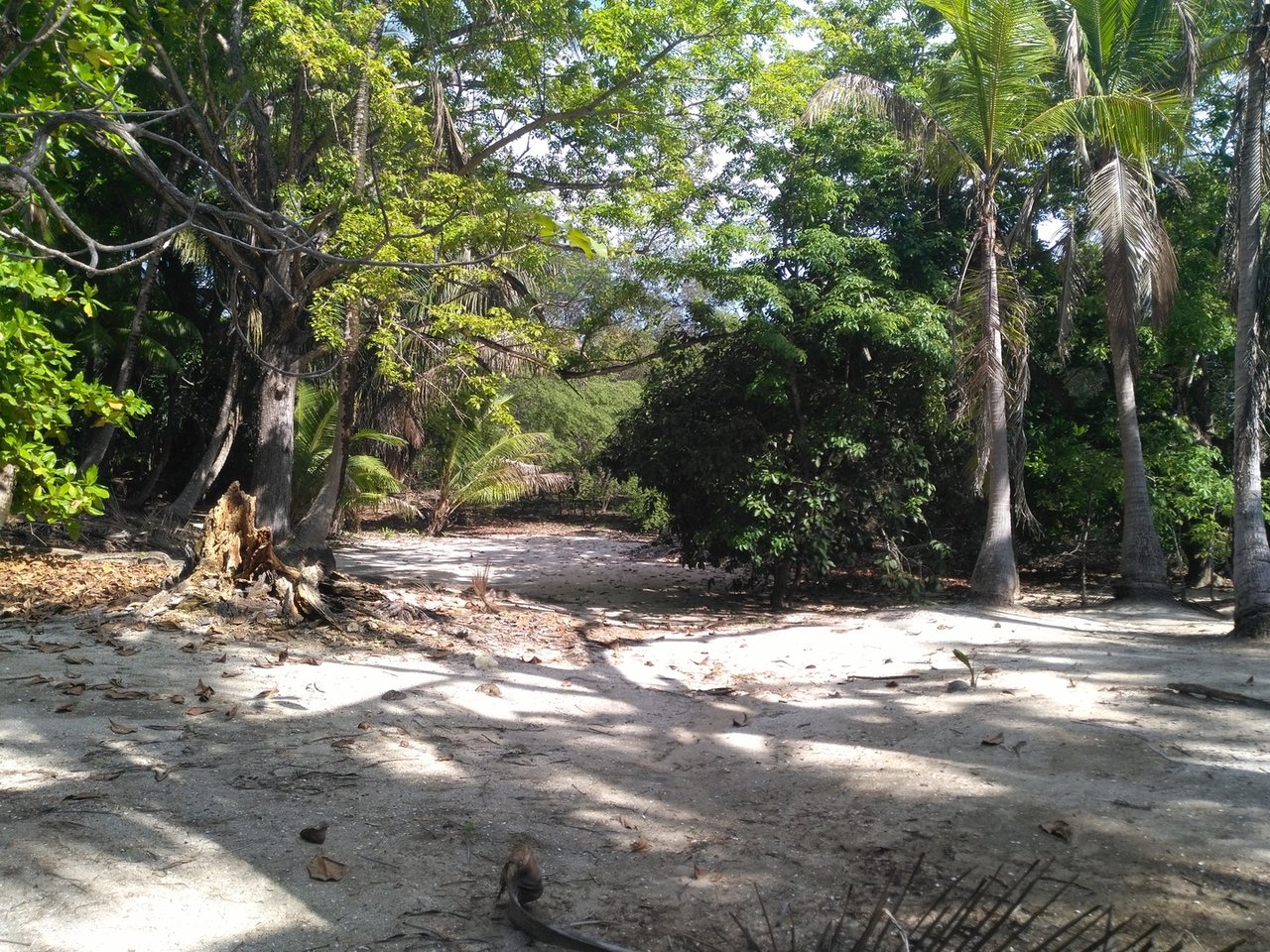 Private Secluded Beachfront Lot, Santa Teresa, Puntarenas