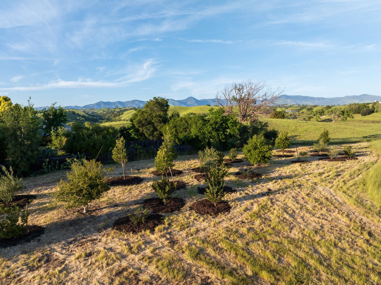 RARE LAND OPPORTUNITY IN LOS OLIVOS