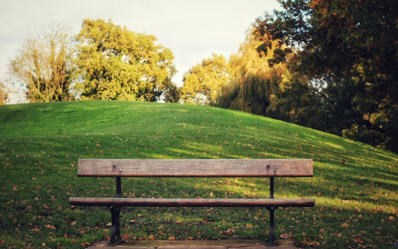 A Guide to North Columbus Parks