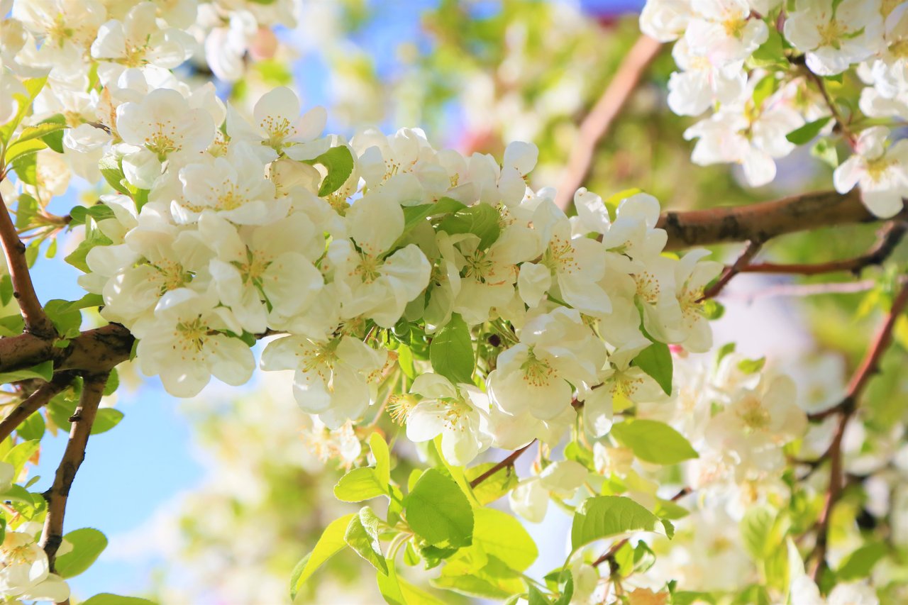 March 2020 Newsletter