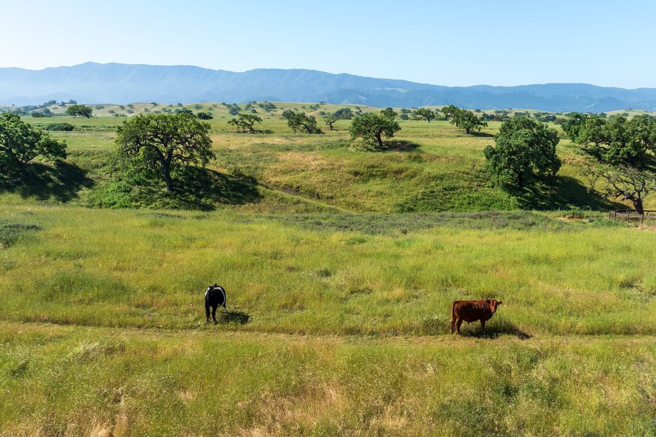 19+ Picturesque Acres on Baseline Avenue