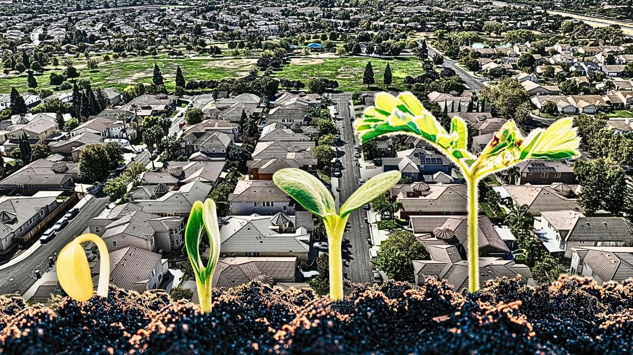 Portfolio expansion: A practical process to help your clients scale