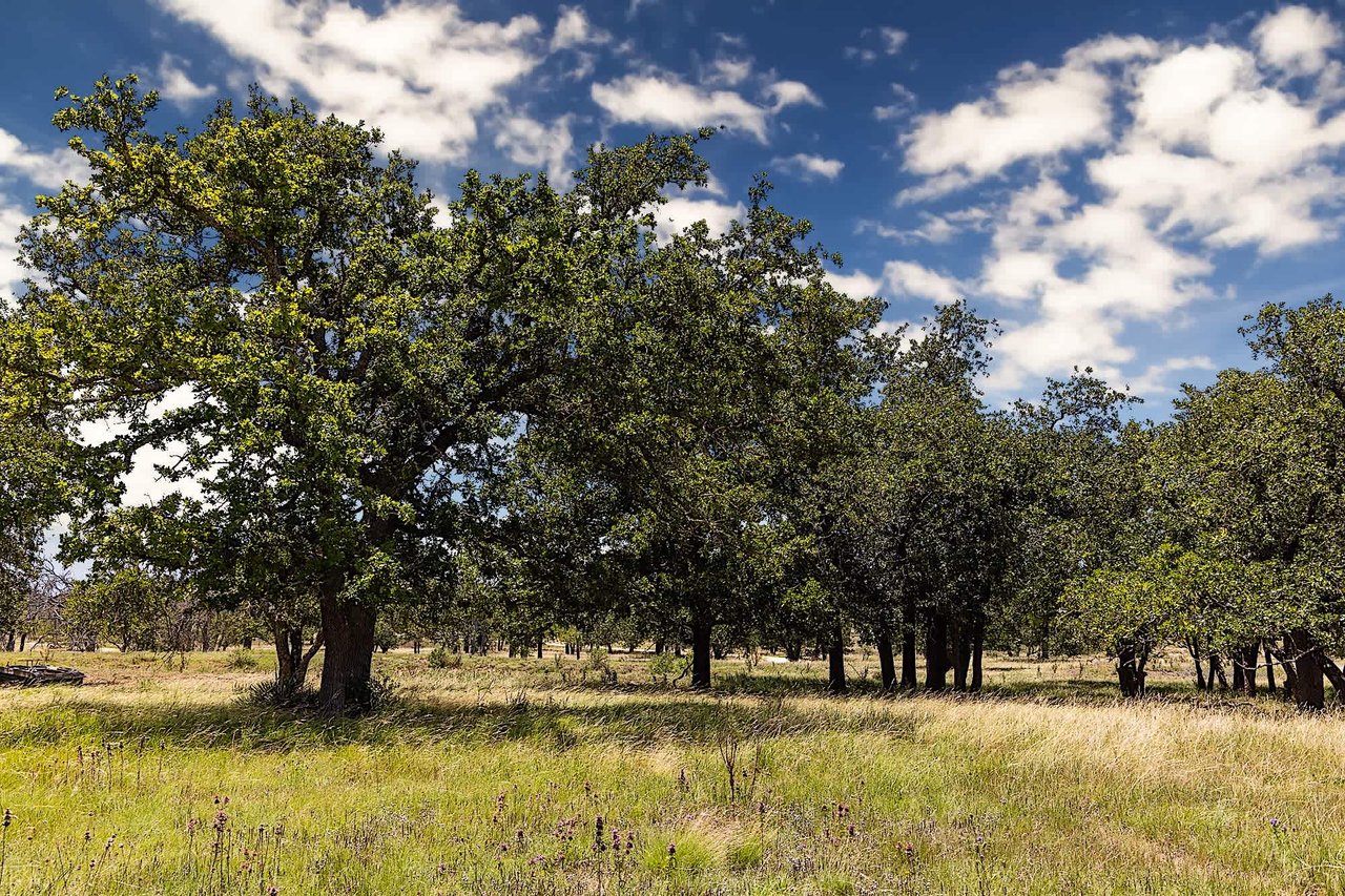 Sunset Ridge Ranchette | 20 +/- ACRES | Fredericksburg, Tx