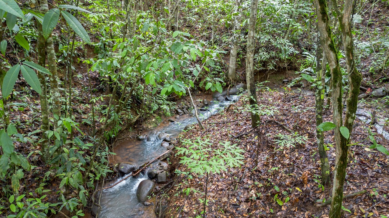  2.5 Acres of Fertile Land with Creek, Ready to Build