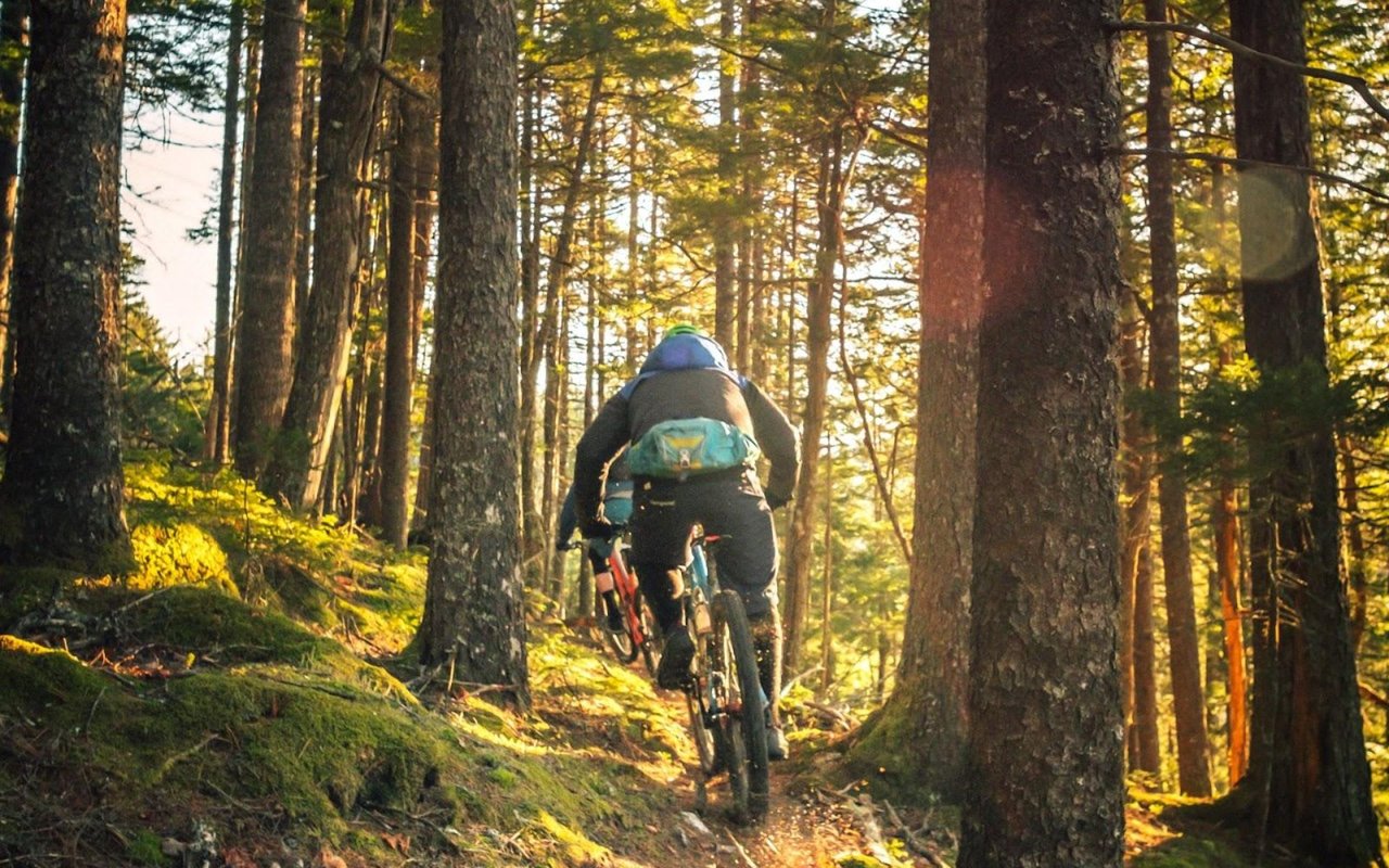 Things To Do In Alpine, UT