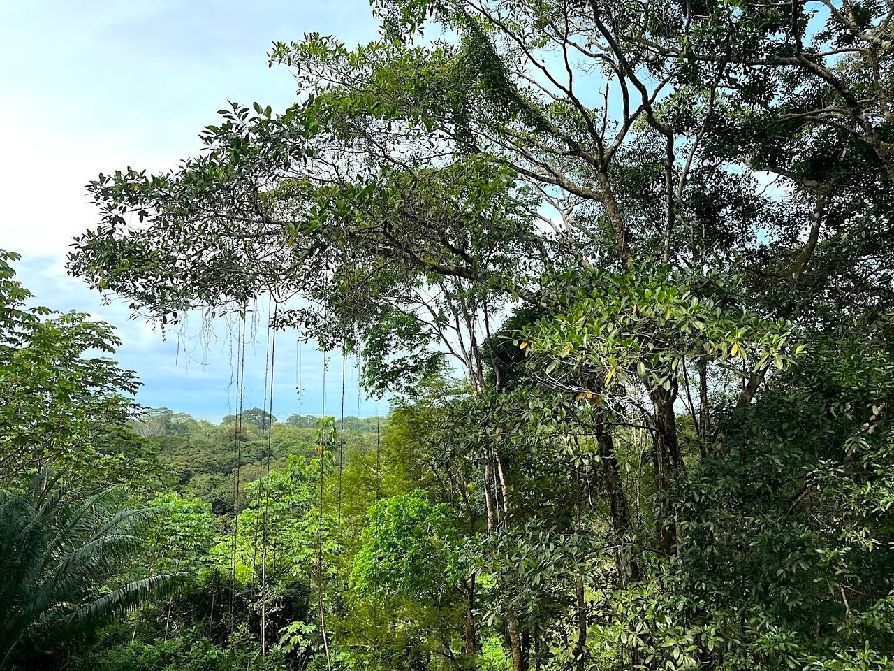 Luxury Development Land, Uvita, Puntarenas