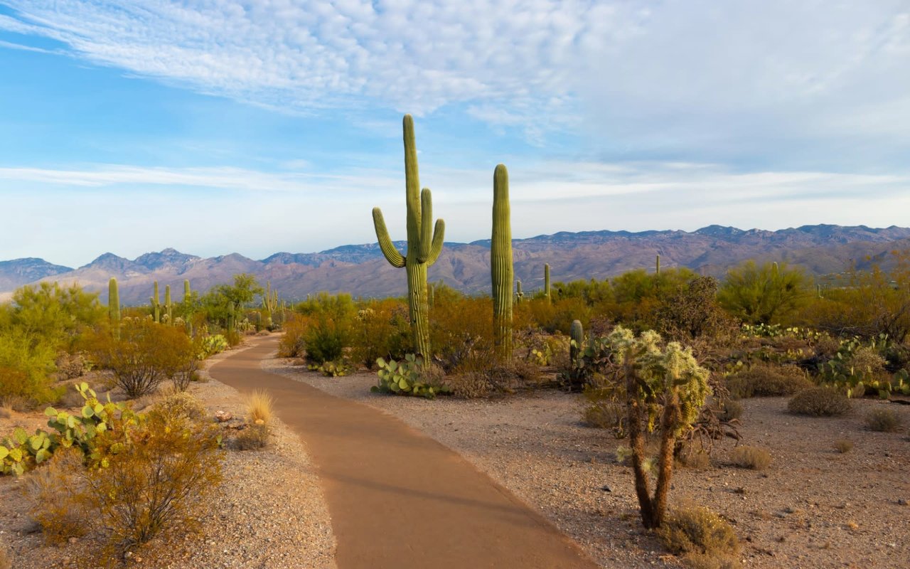 Exploring Oro Valley, AZ