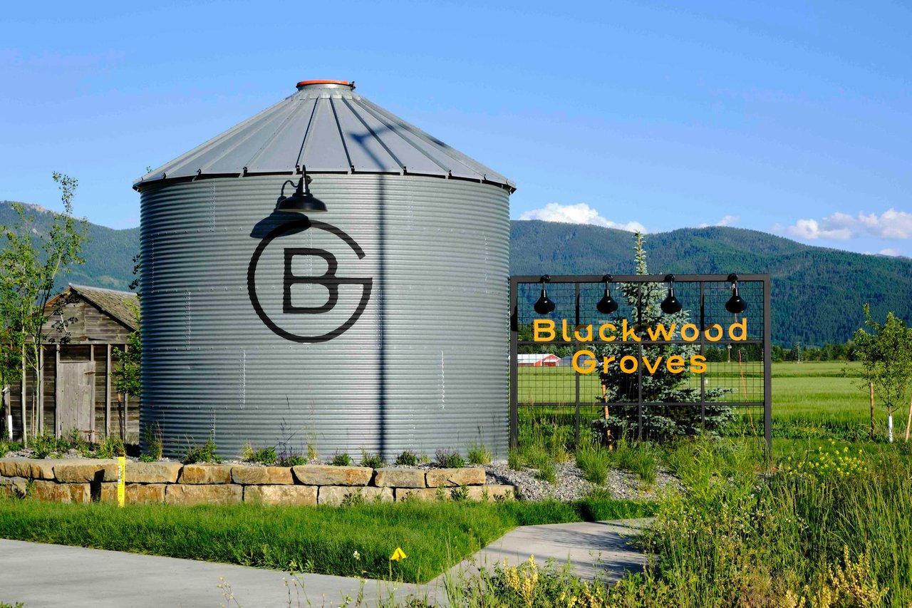 Blackwood Groves