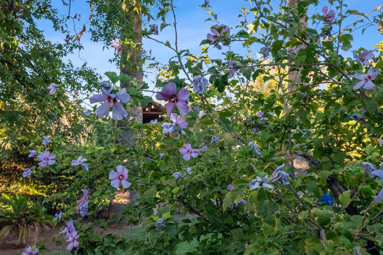 Sunburst Farms