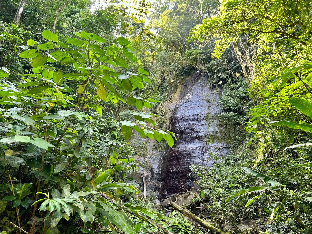 FINCA SINAI DE OSA