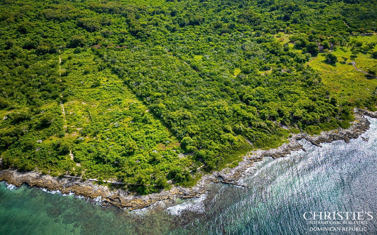 Boca Chavon 