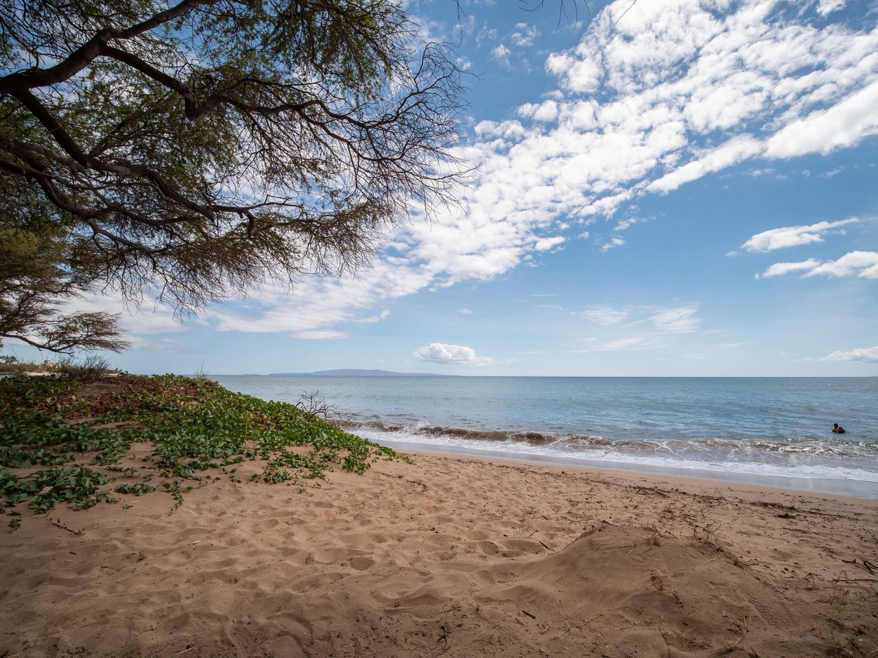 38 Kai Makani  #Q102