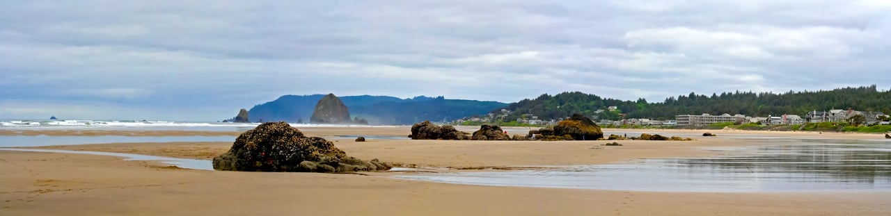 Cannon Beach Low Tide Rocks, Sand and Homes