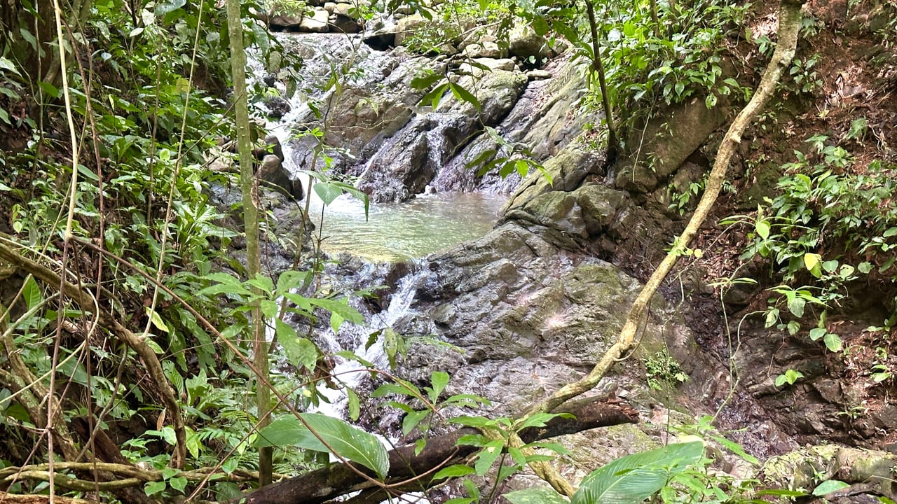 Tranquil Oasis: 8.8 Acres of Pristine Paradise in Dominicalito, Costa Rica