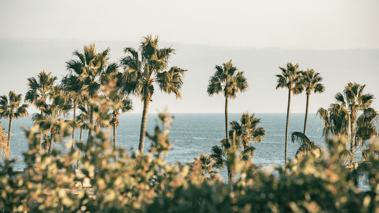 Malibu + Pacific Palisades