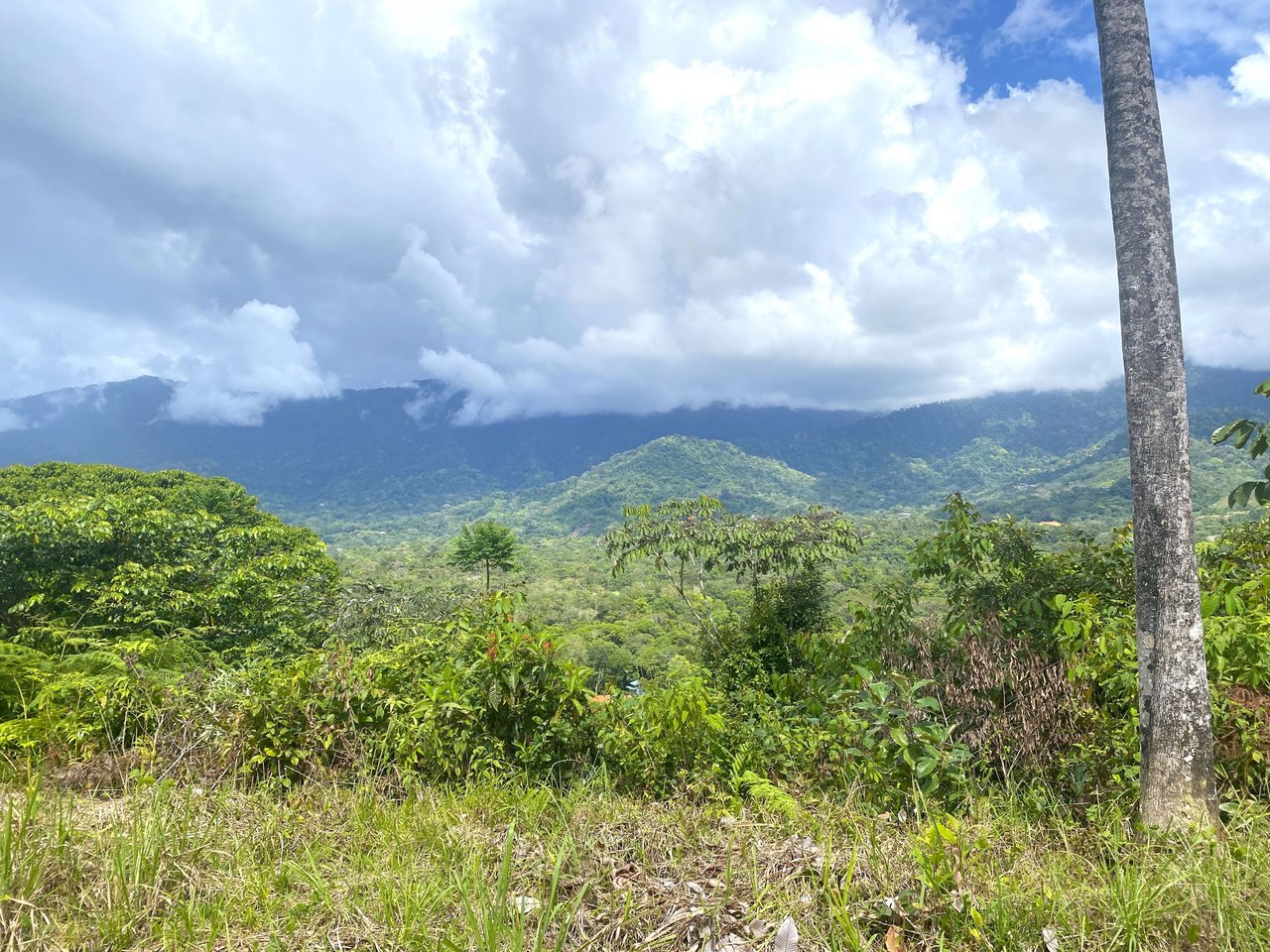 Majestic Expansive Mountain Backdrop