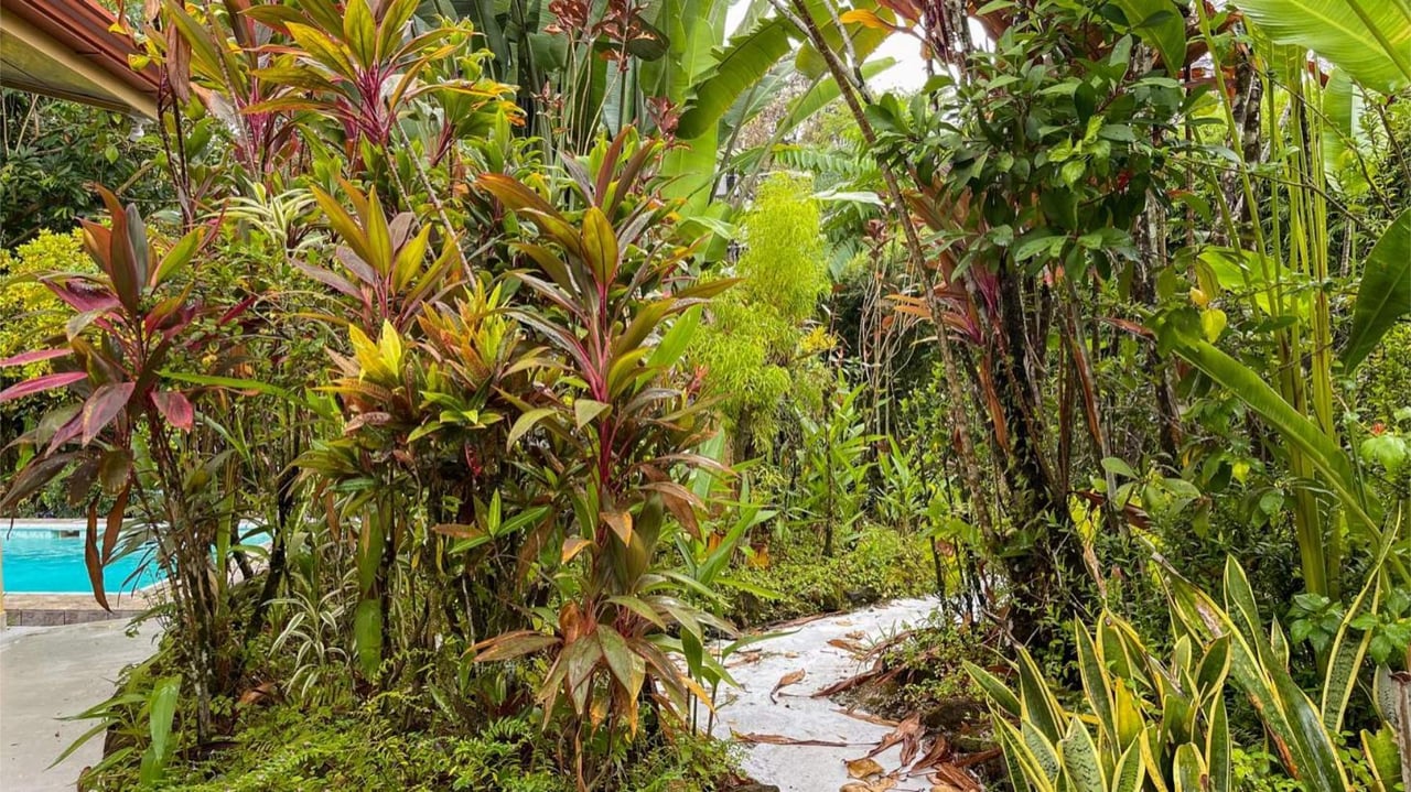 Tropical Orchard Estate, Ojochal, Puntarenas