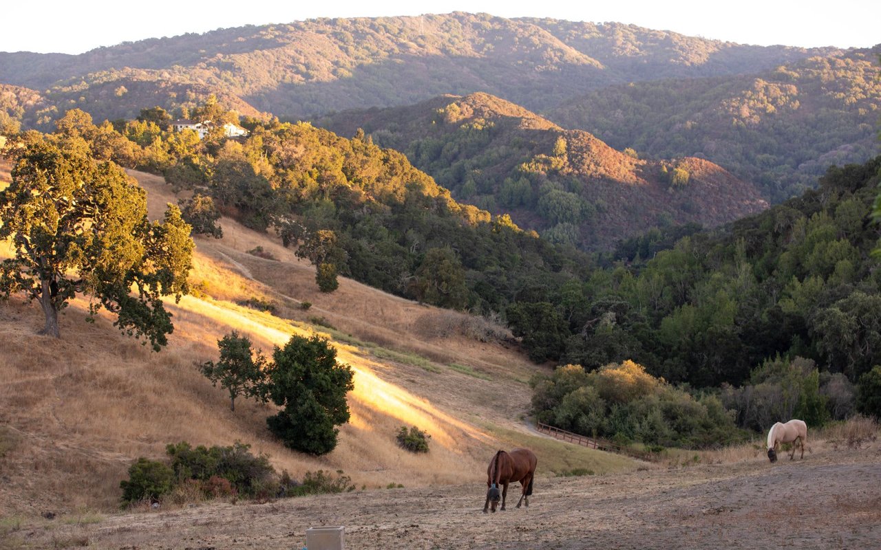 Los Altos Hills