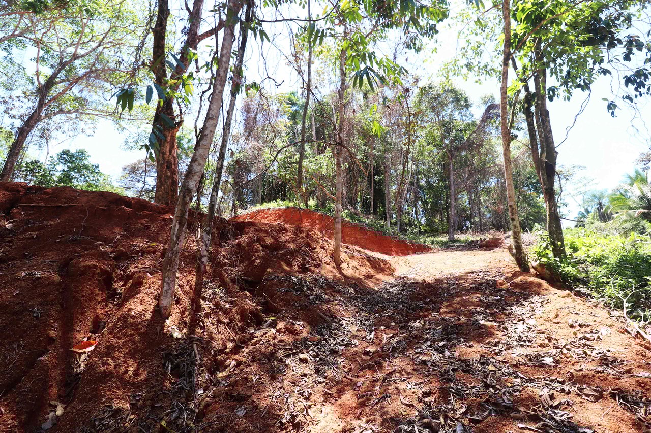 Over One Acre Attractive Lot on the Popular PEREZOSO Road.