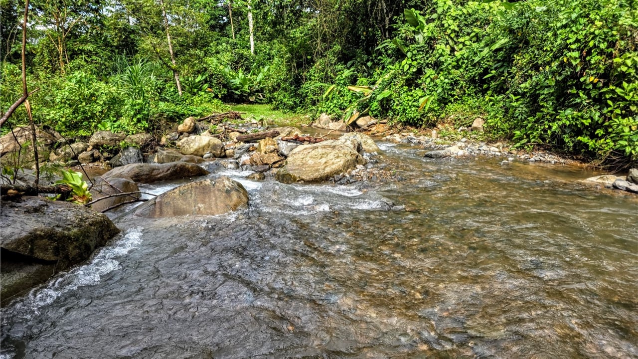 Rainforest Waterfall Acreage Estate, Dominical, Puntarenas