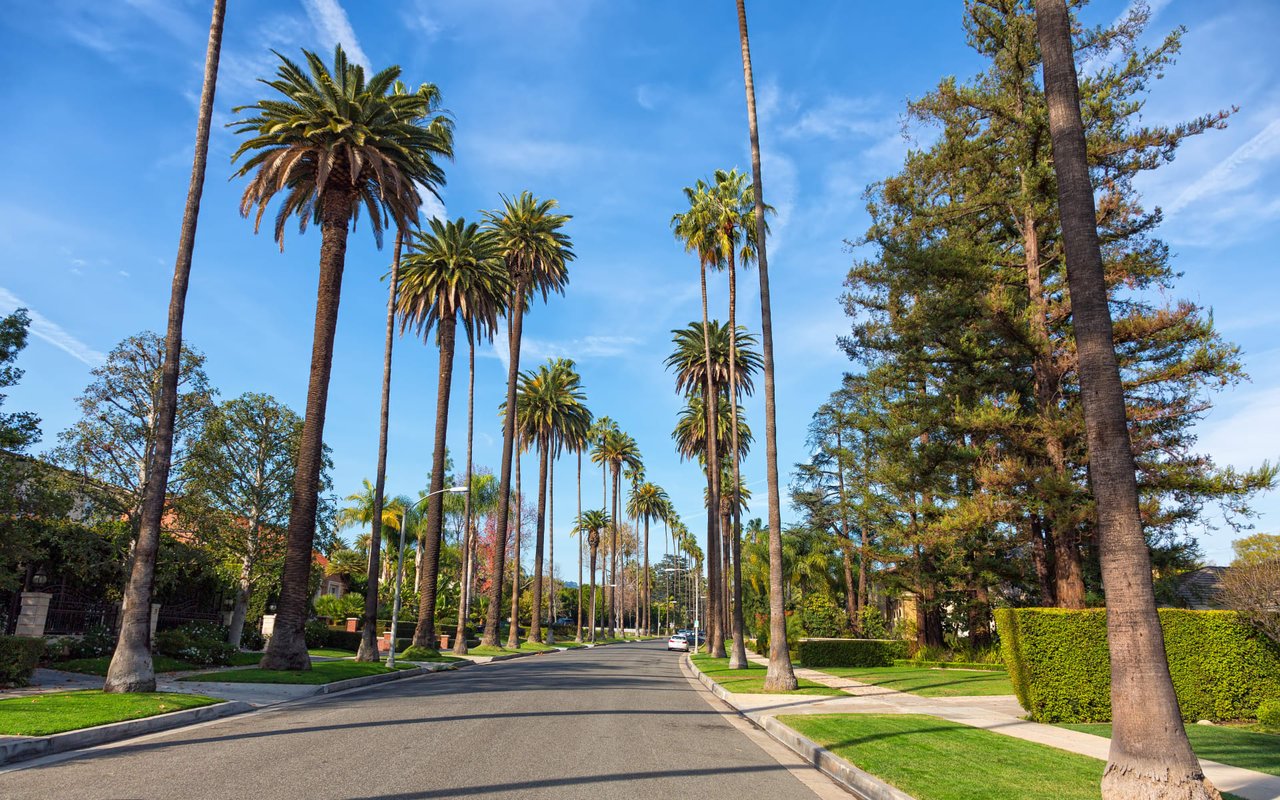 Hollywood Hills