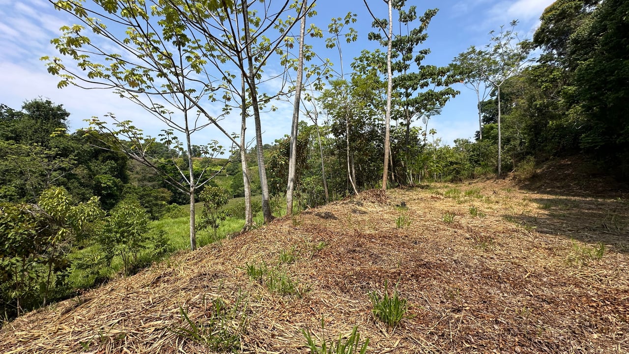Hills of Portalon, Ocean View 