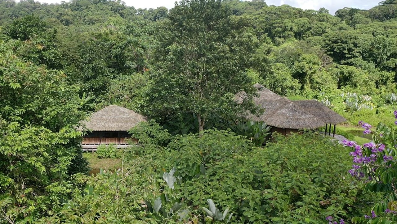 Sustainable Conservation Retreat, Osa, Puntarenas