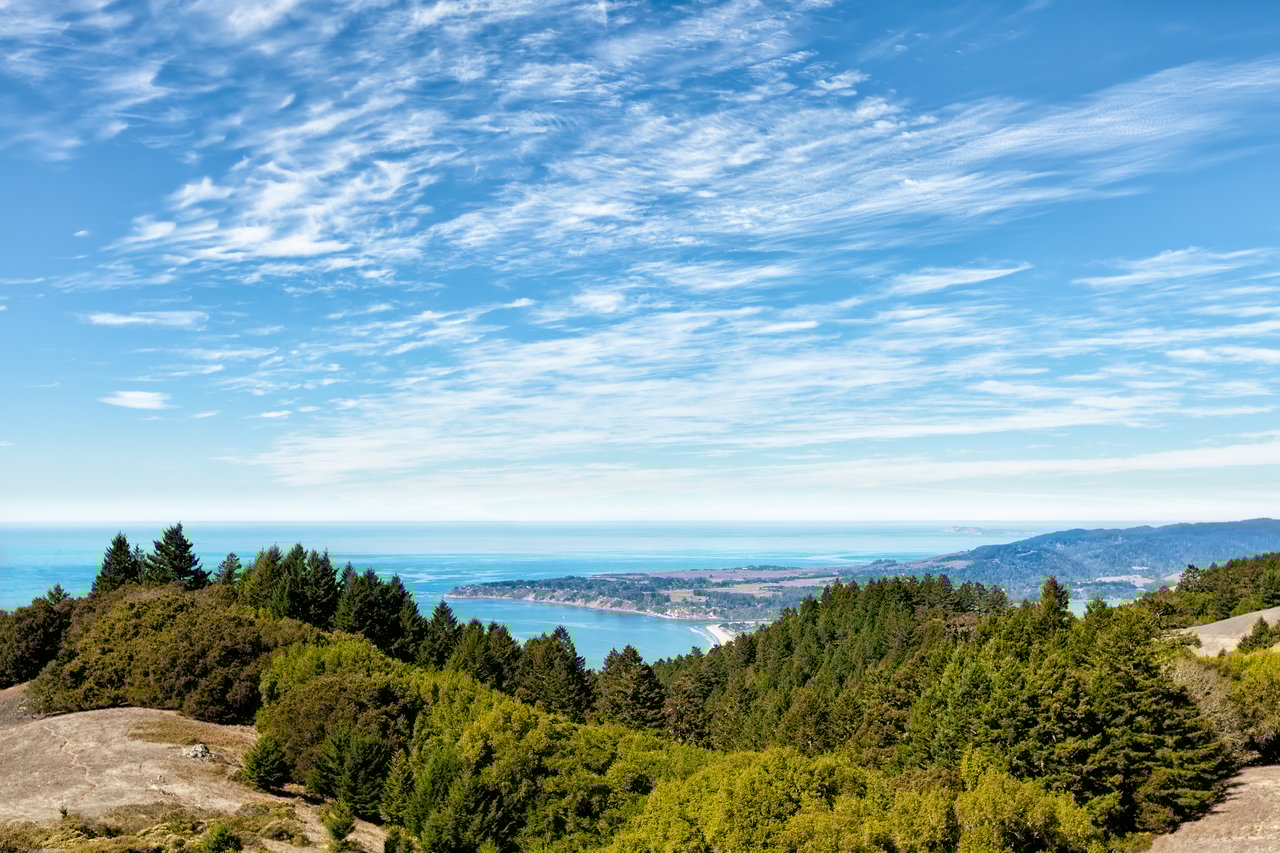 Sharon Kramlich's Marin County Real Estate Market Report