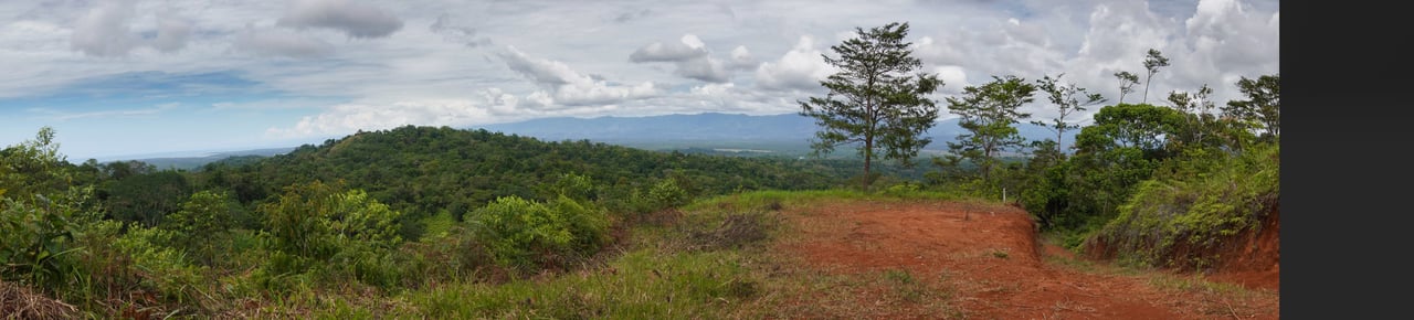Sierpe Sunset and Jungle Views, 10 Acre Property, OSA!