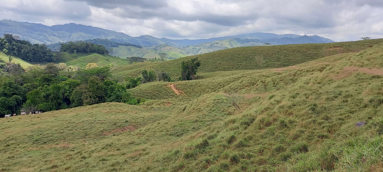 38 Acres Ideal For Sustainable Living
