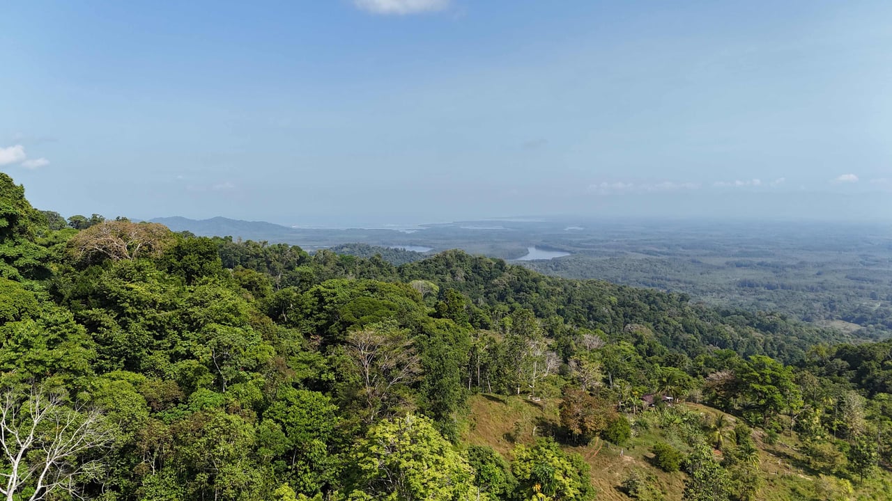 Conservation and Development Land for Sale