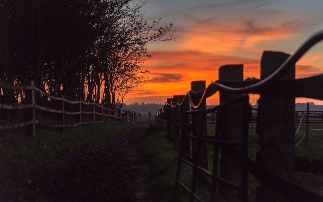 Luxury Living: Texas Ranch Estates