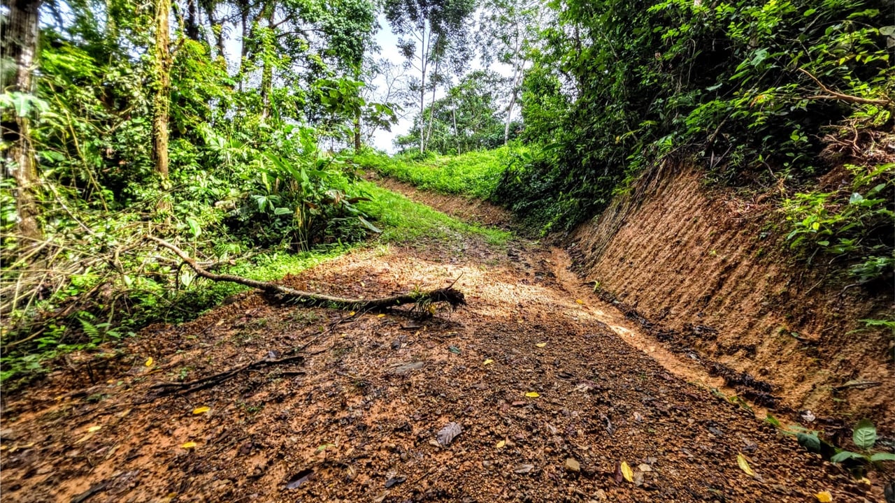 Rainforest Waterfall Acreage Estate, Dominical, Puntarenas