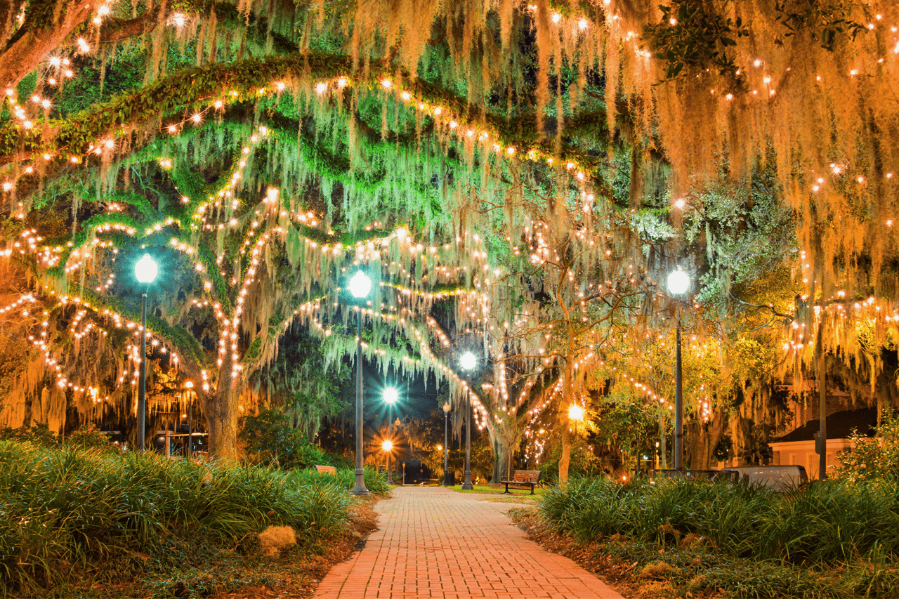 A brightly lit outdoor scene with a pathway under an archway of trees adorned with lights. This image likely depicts a local attraction or festive event, showcasing the beauty of the area.