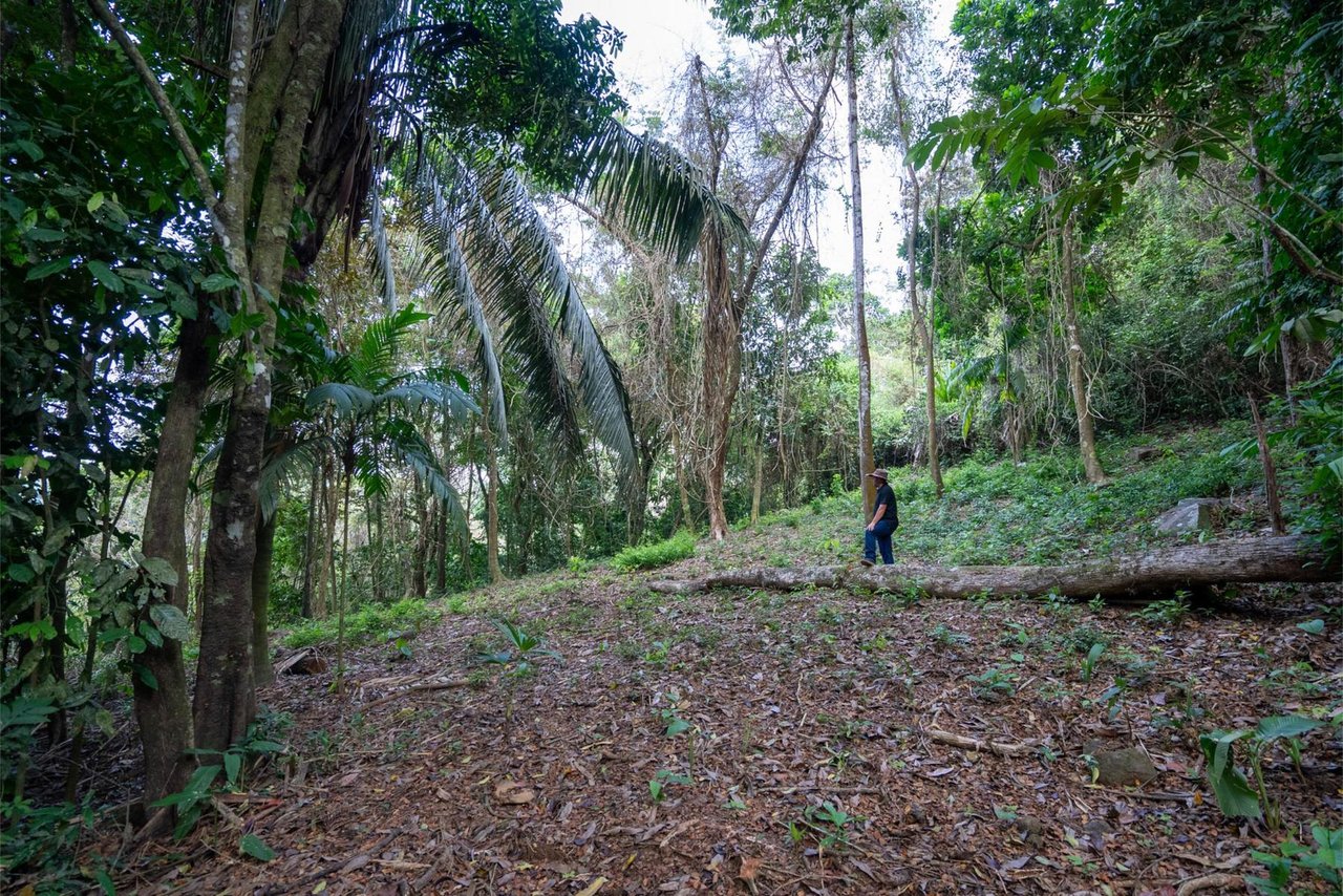 Private Ocean View Development Lot, Dominical, Puntarenas