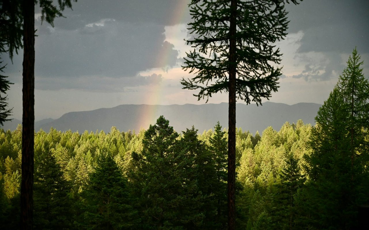 A vibrant rainbow arcs across a cloudy sky above a lush green forest.