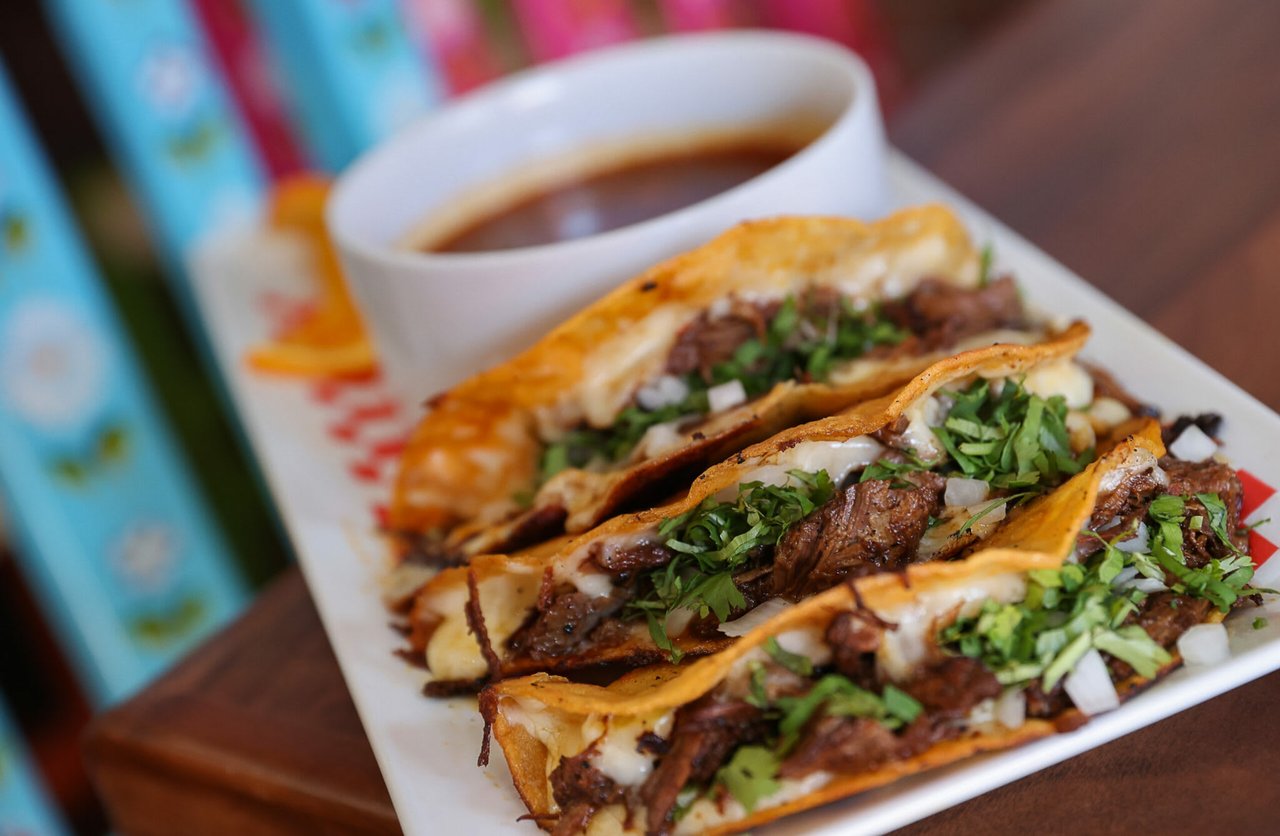 19 Sonoma County Restaurants We Return to Again and Again