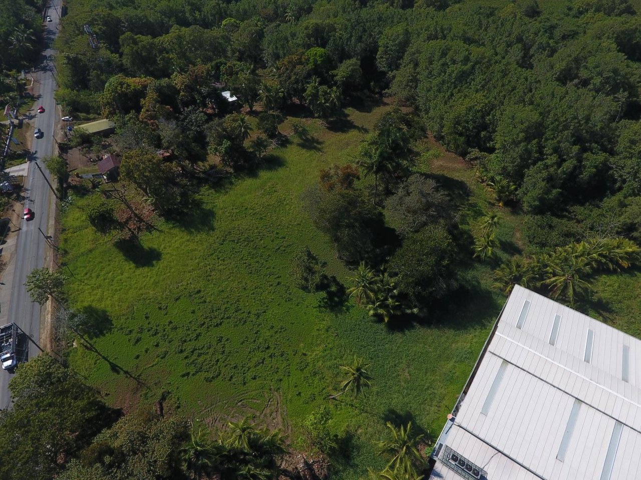 Quepos Commercial Property