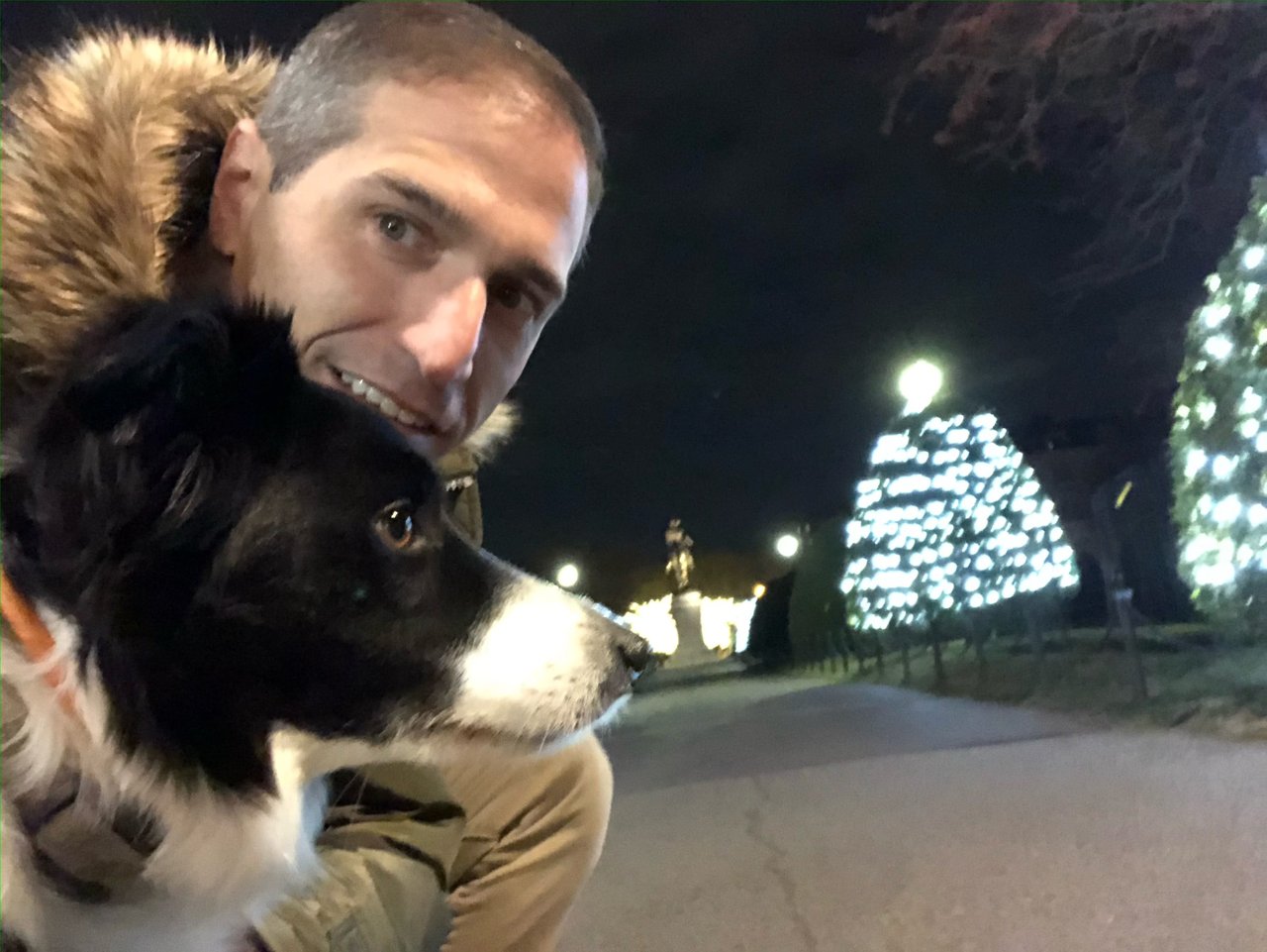 Best Places to Walk and Play with Your Dog in Back Bay Boston