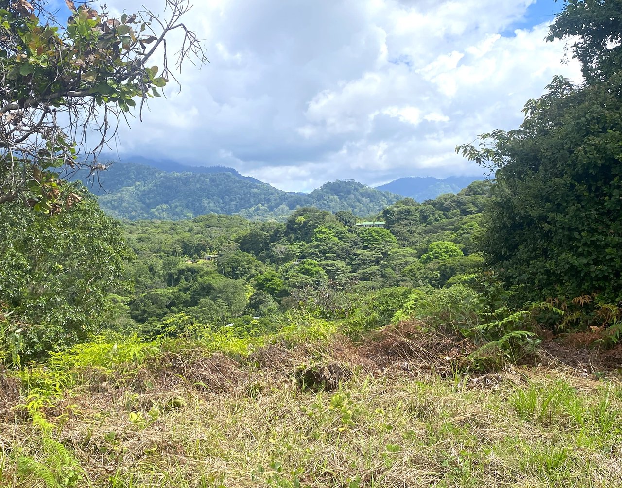 3.41 Acres, Ocean View Property In Finca Maranon With Legal Water! Ojochal 