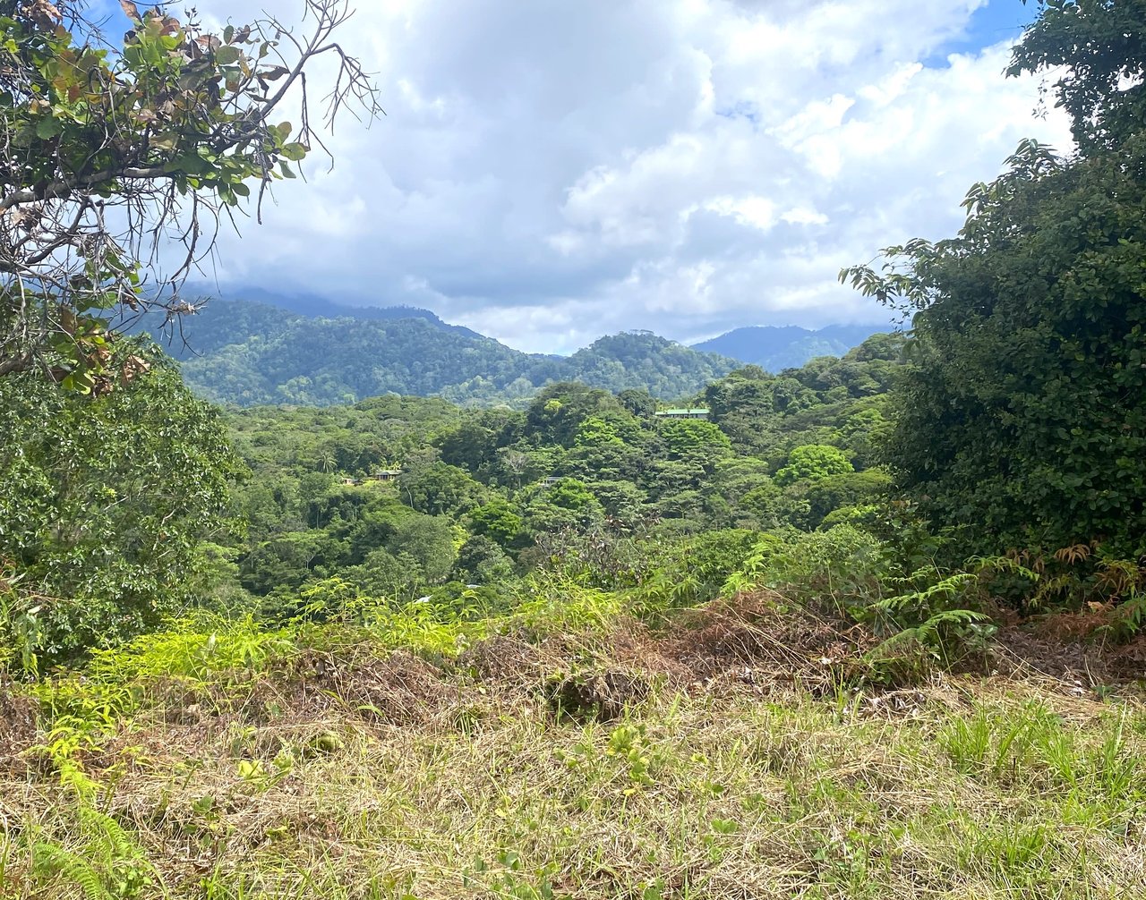 3.98 Acres, Ocean View Property In Finca Maranon With Legal Water! Ojochal 