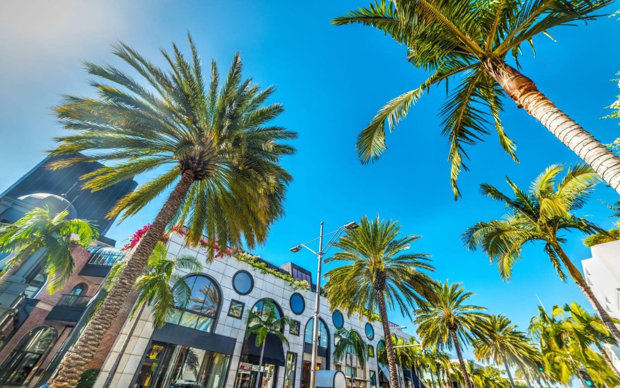  A worm's-eye view looking up at tall palm trees and luxurious buildings under a clear, vibrant blue sky. 