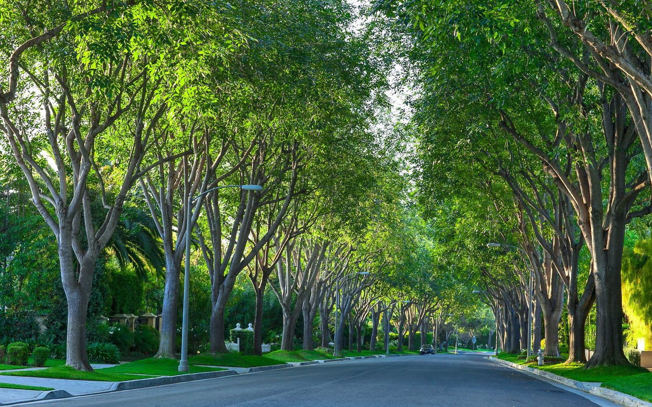 Westbury Park