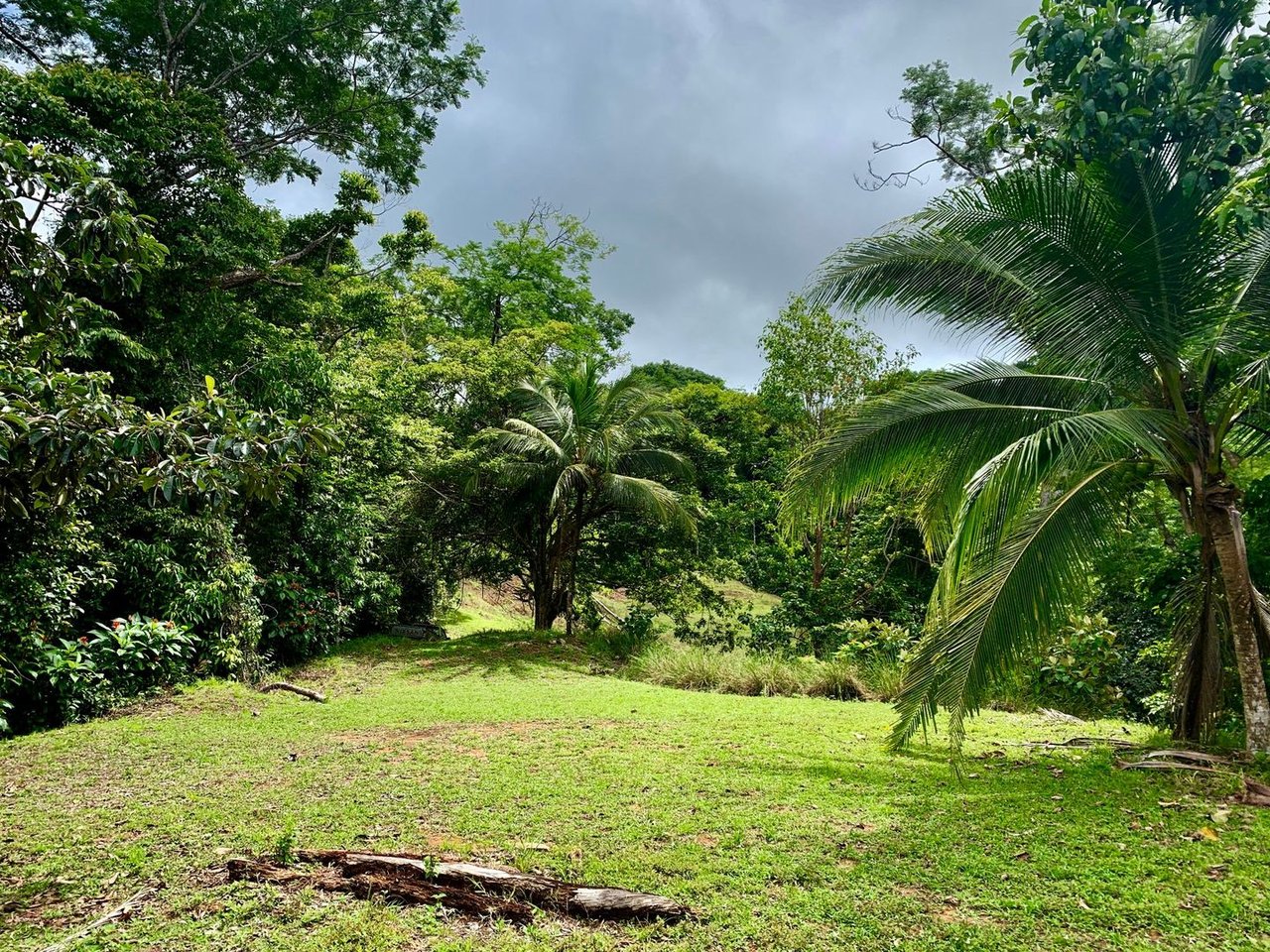 Triple Waterfall Ocean View Land, Dominical, Puntarenas