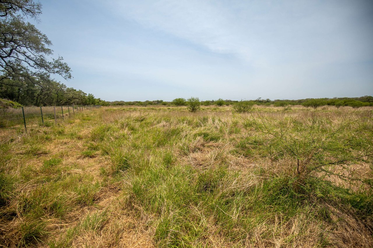 Green DeWitt Rd | 40.82± Acres | DeWitt County