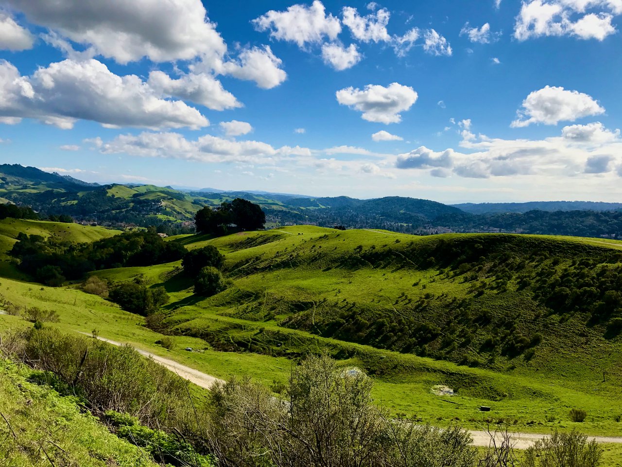 Moraga