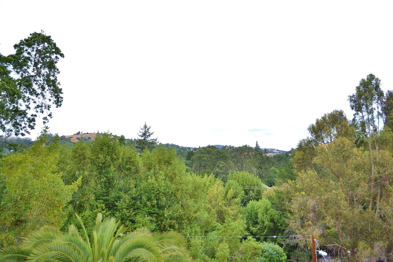 21 Forrest Avenue, San Anselmo